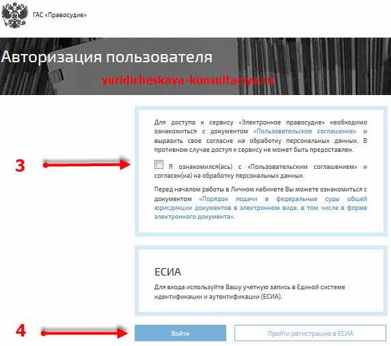 Заявление о предоставлении доступа к делу в гас правосудие образец